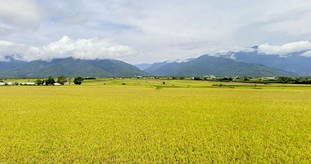 稻田景色。照片提供者：Google街景 / 拍攝時間：2023年6月