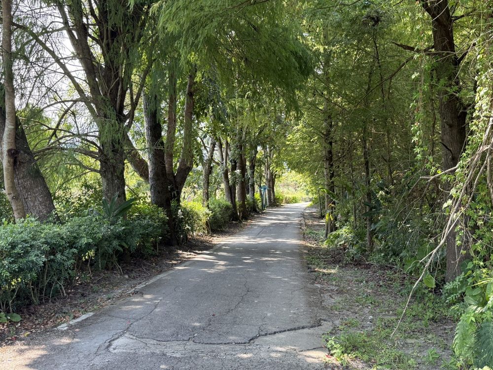 初英親水生態公園2，照片提供者：東華大學臺灣文化學系郭俊麟教授