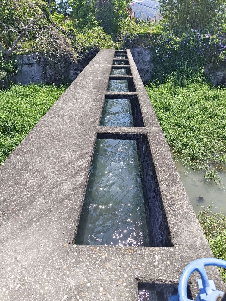口琴橋-1 照片提供者：臺中市后豐社區大學廖啟宗、吳怡靜、詹智傑共同提供 / 拍攝日期：2012/6/24