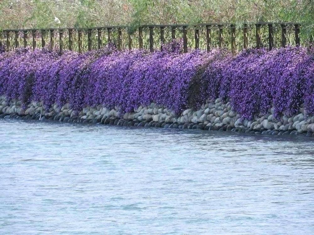 沿岸風景-1 照片提供者：臺中市后豐社區大學廖啟宗、吳怡靜、詹智傑共同提供 / 拍攝日期：2022/7/1
