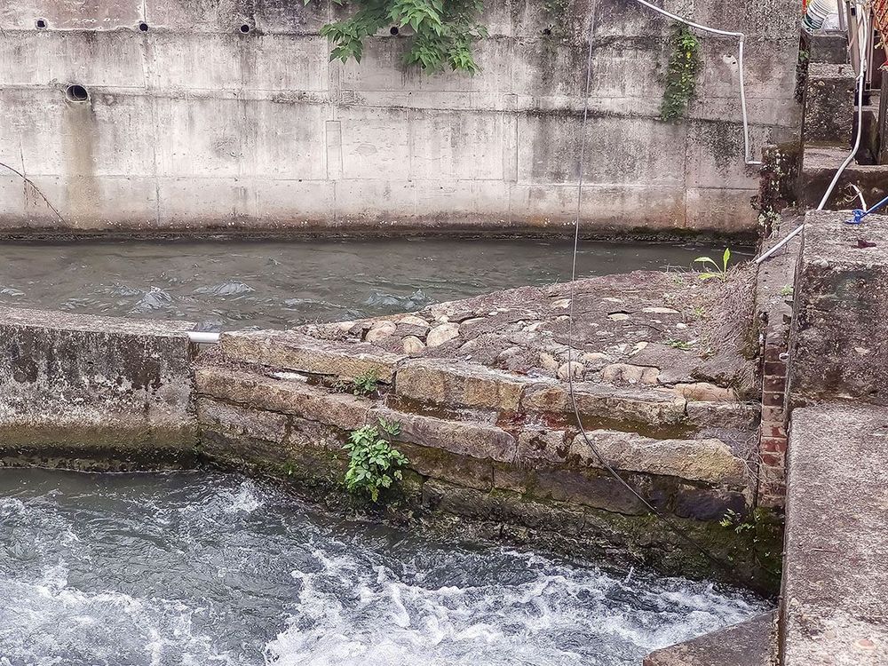 水上土地公前魚嘴 照片提供者：臺中市后豐社區大學廖啟宗、吳怡靜、詹智傑共同提供 / 拍攝日期：2025/4/20