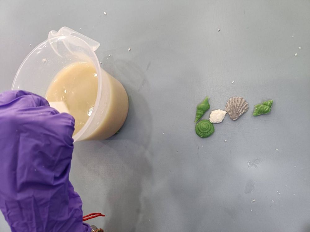 製作貝殼造型香皂照片提供者：彰化海洋食研基地團隊