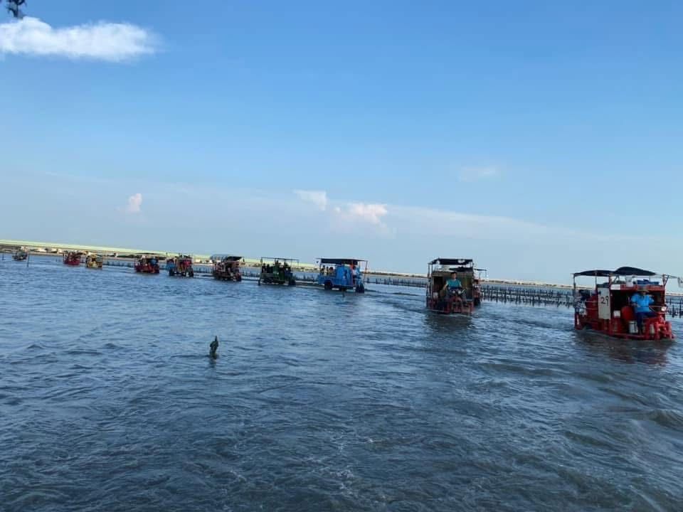 會推薦住宿遊客芳苑特色旅遊行程，例如海牛體驗。（照片提供者：黃雯鈴）