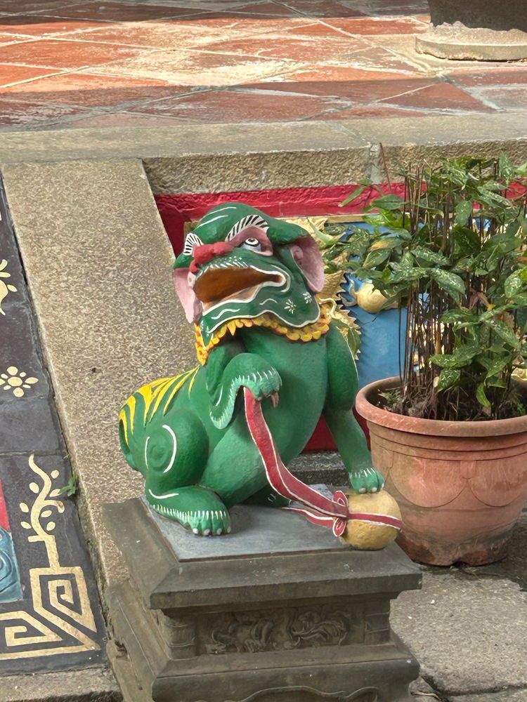 可愛綠色奶油獅（照片提供者：魏可欣/ 拍攝日期：2025/11/08）