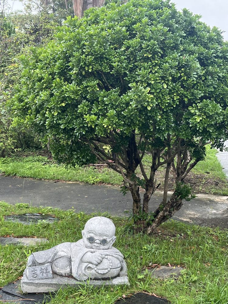 禪寺旁的小沙彌石像（照片提供者：張庭瑜/ 拍攝日期：2026/04/25）