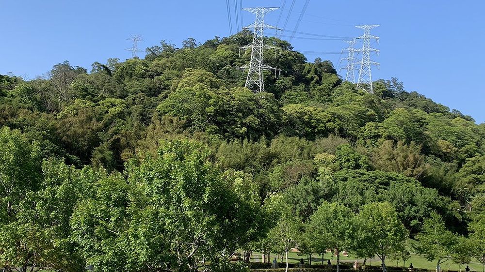 草嶺山照片拍攝者：林美惠 / 拍攝日期：2021/4/6