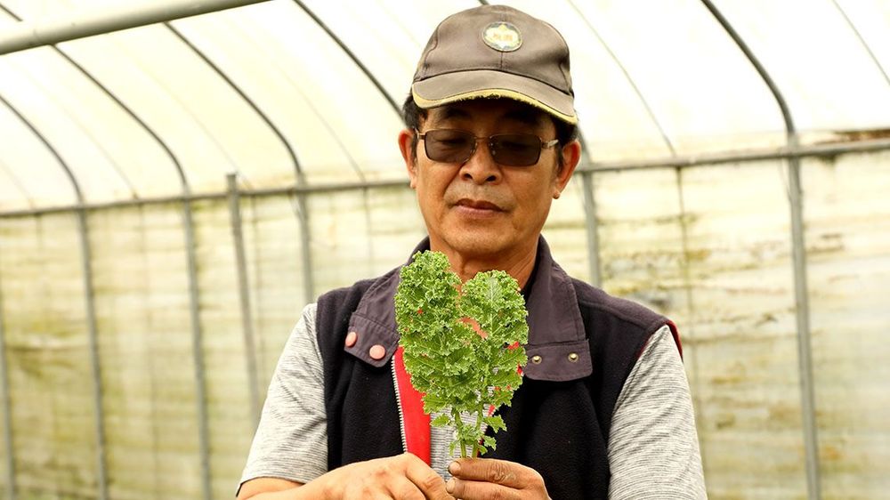 農場主人訴說羽衣甘藍的好。照片拍攝者：洪光君 / 拍攝日期：2021/4/6