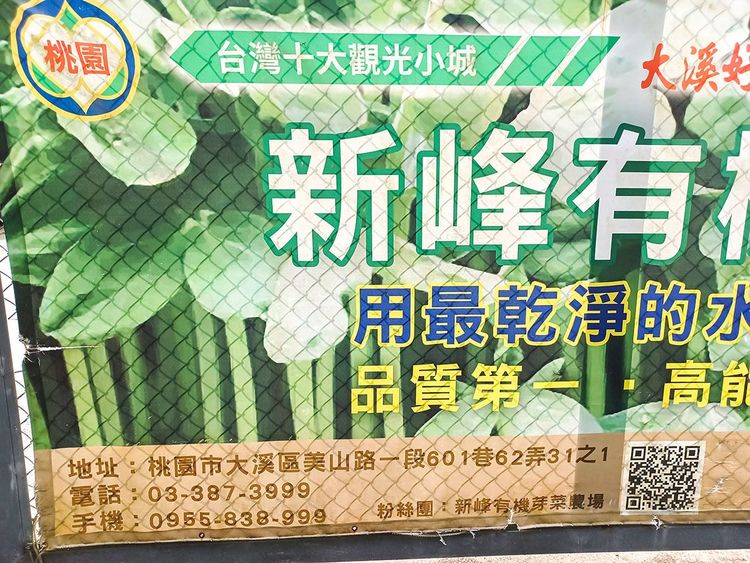 04新峰有機芽菜農場