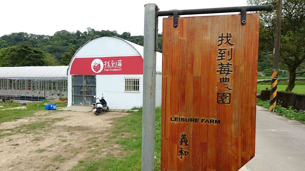 找到莓農園。照片拍攝者：洪光君 / 拍攝日期：2021/4/6