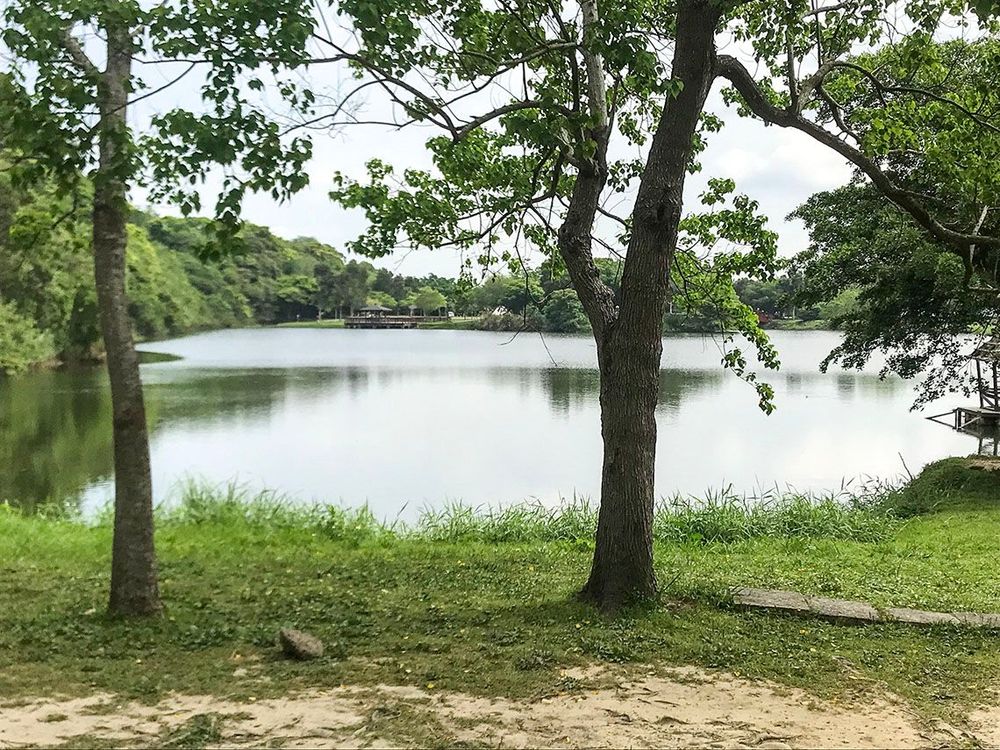 生態公園一隅。照片拍攝者：方文樹／拍攝日期：2022/04/13