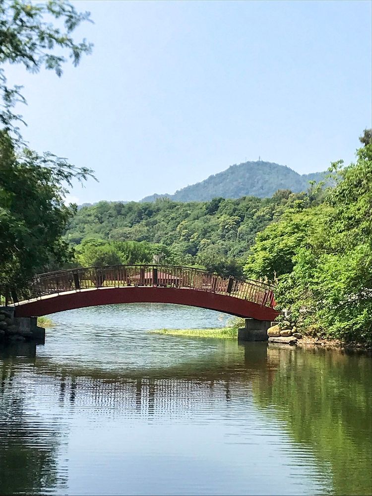 生態公園內埤塘上之拱橋。照片拍攝者：方文樹／拍攝日期：2022/04/13