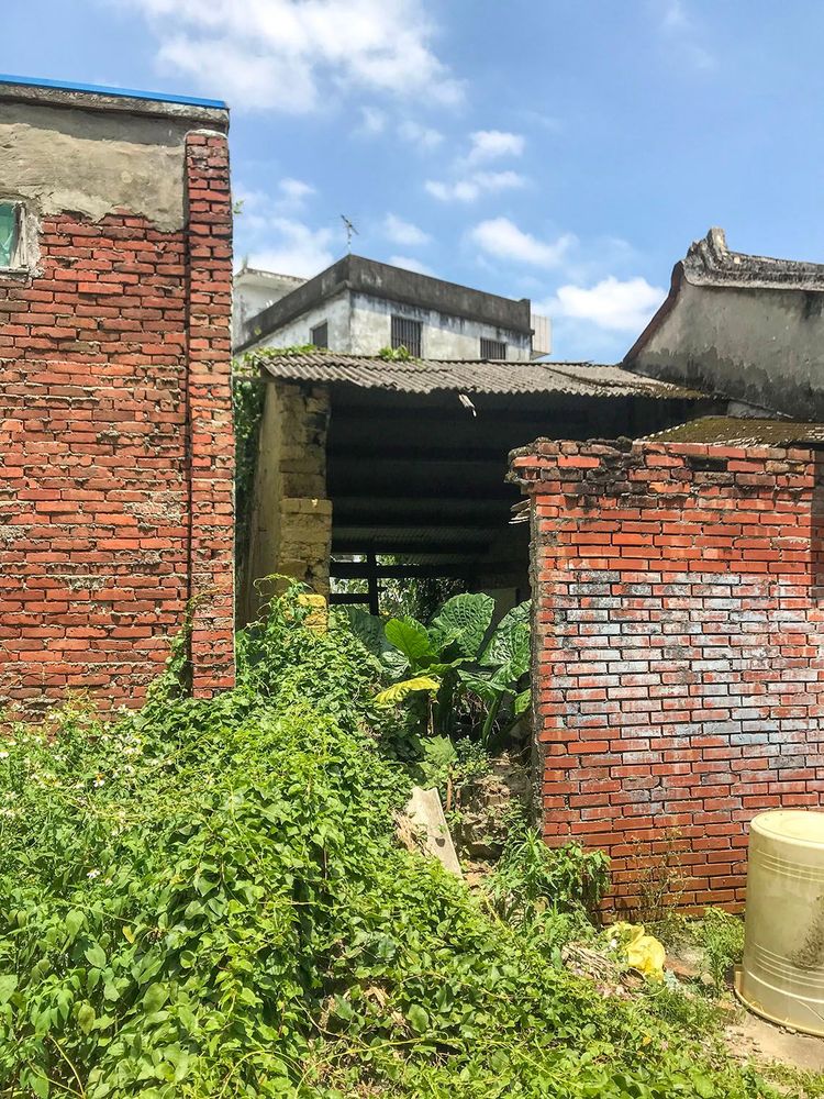 荒廢空屋，雜草叢生。照片拍攝者：方文樹／拍攝日期：2022/04/13