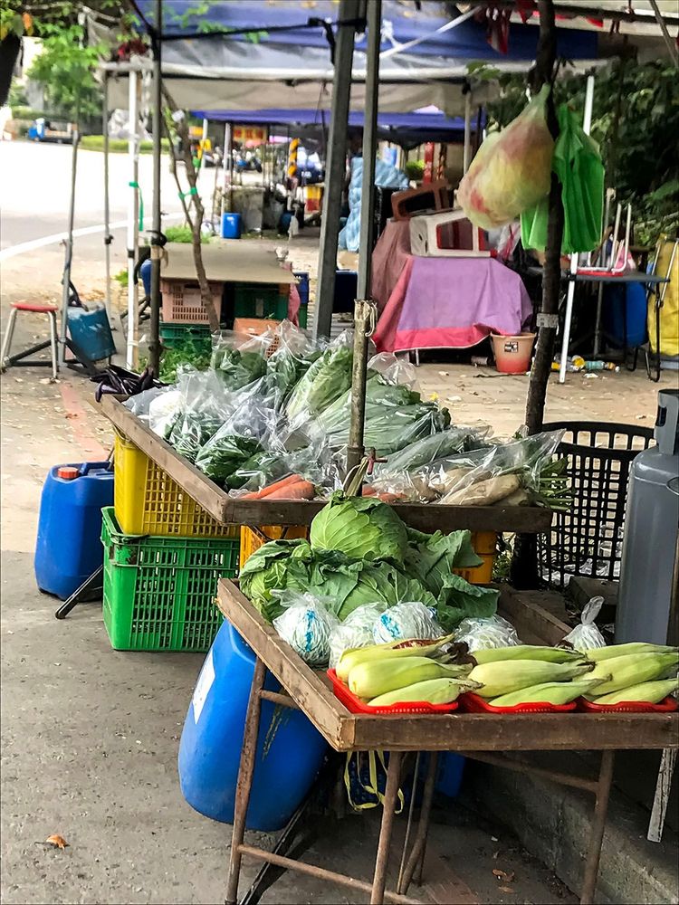 石門山市集攤販店家─農特產--蔬菜。照片拍攝者：方文樹／拍攝日期：2022/04/13