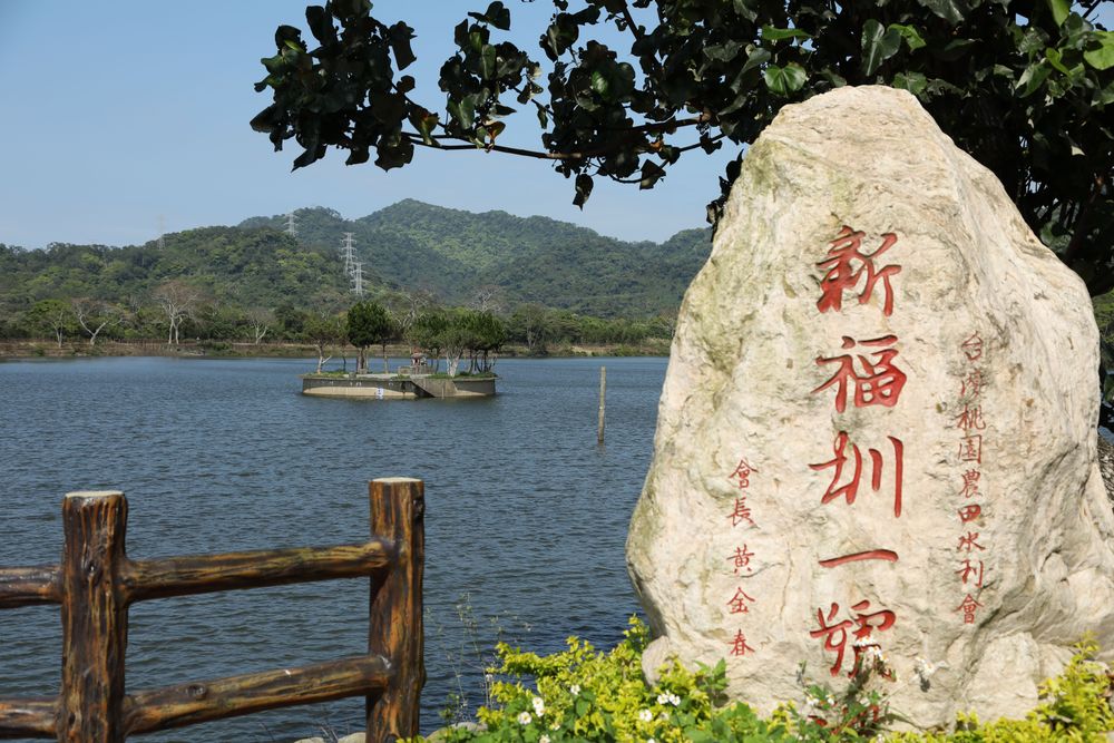 新福圳一號池。照片拍攝者：洪光君 / 拍攝日期：2021/4/6