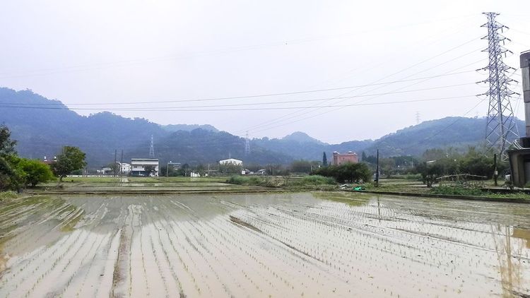 06鳳凰朝北斗