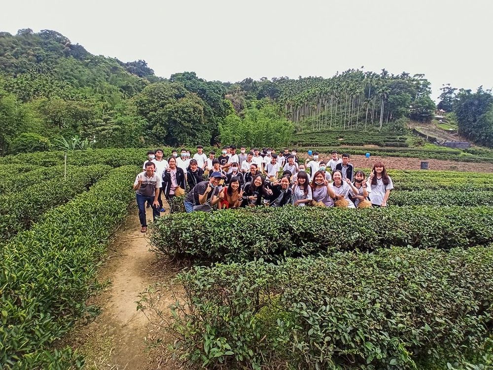 茶廠一旁的茶園也成為茶鄉輕旅行體驗採製茶的重要場域。照片拍攝者：三峽學教師社群 / 拍攝日期：2022/07/24