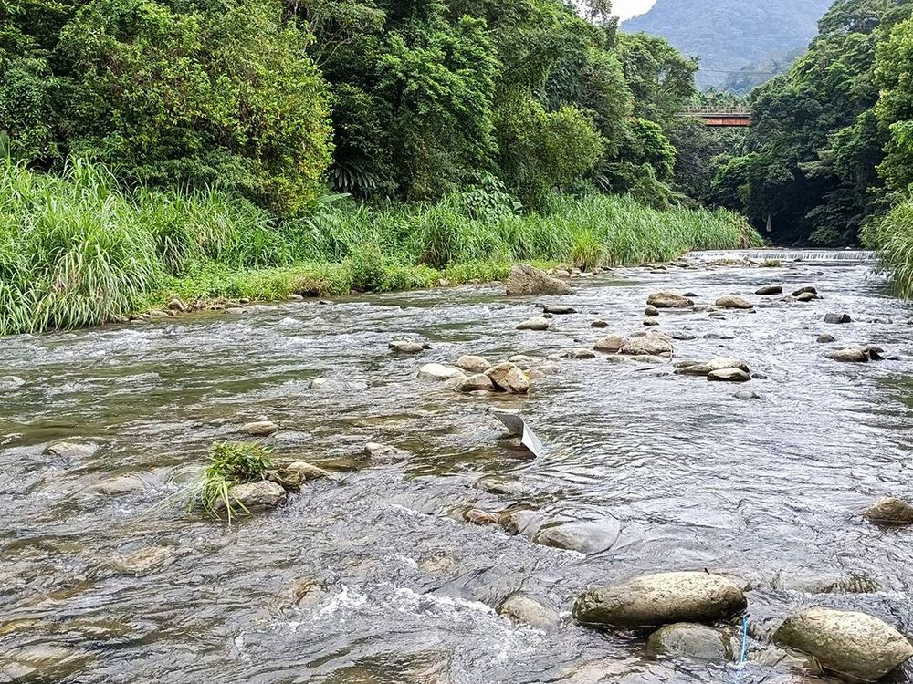 鹿母潭溪溪流河床。照片拍攝者：黃秋菊 / 拍攝日期：2022/09/15