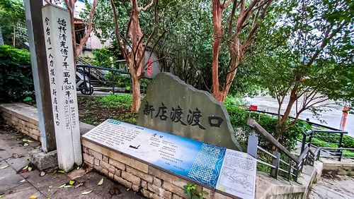 19渡船頭