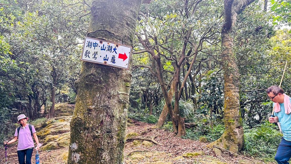 有叉路往鶯歌、龜山。照片提供者：林美惠 / 拍攝日期：2023/09/17
