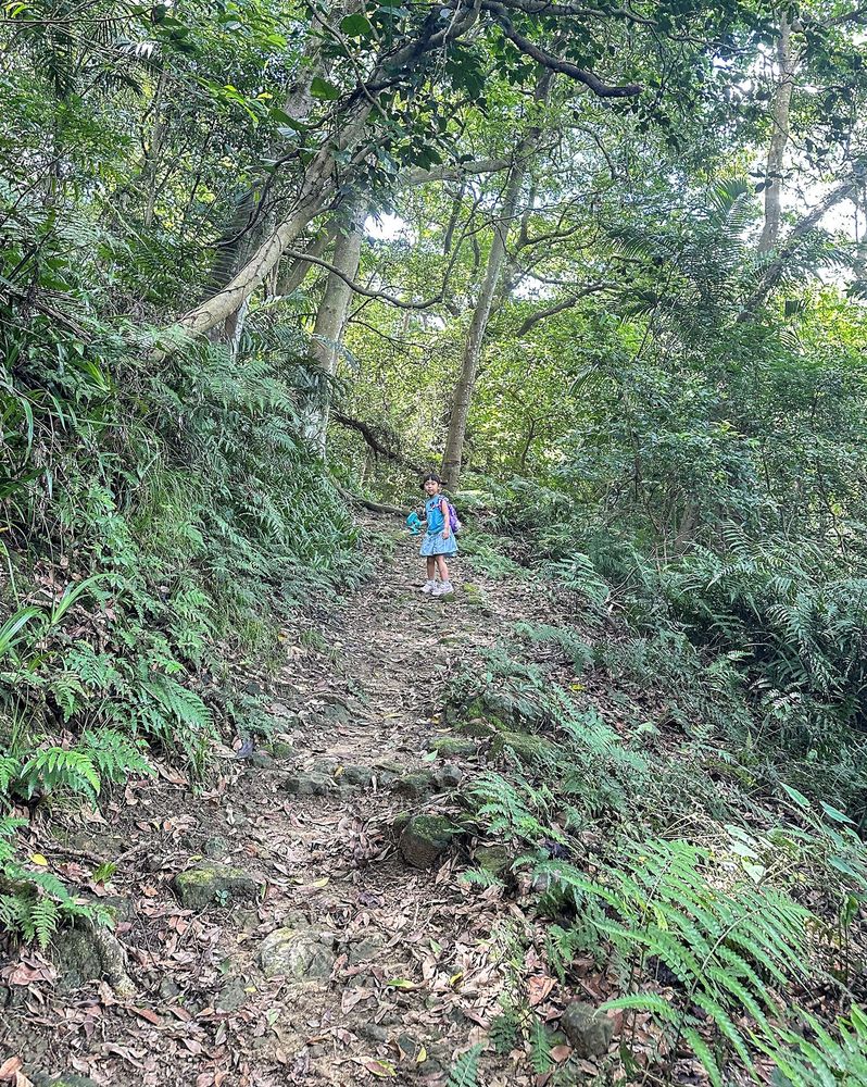 石雲步道是原始泥土路步道。照片提供者：林美惠 / 拍攝日期：2023/08/27