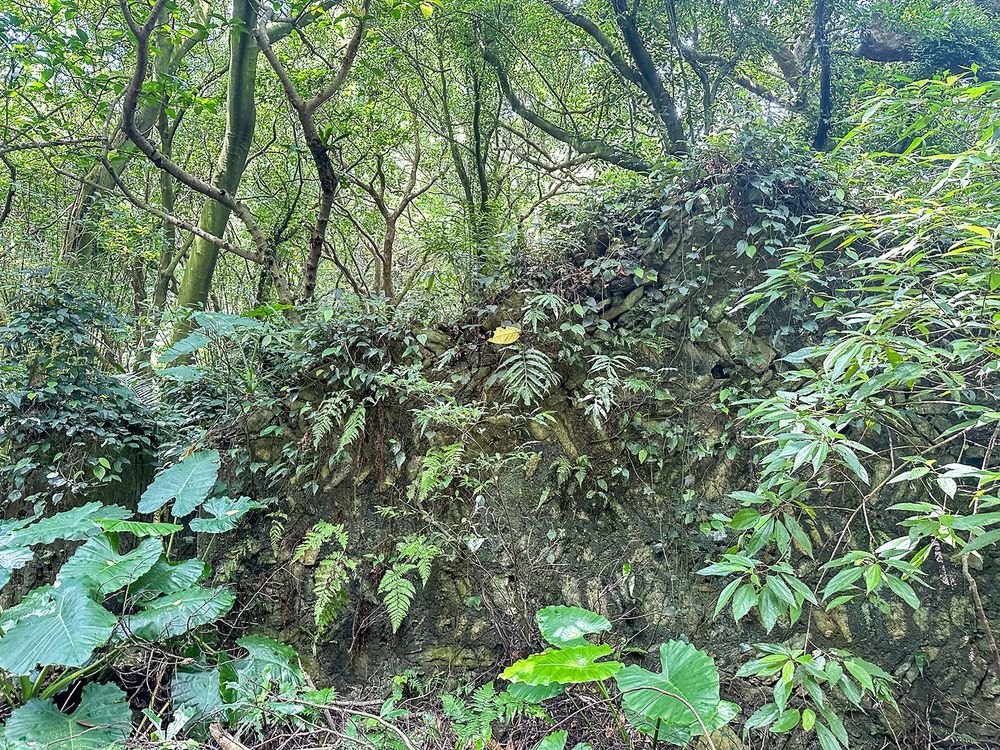 沿路的石屋遺跡，代表先前有人在此居住。照片提供者：林美惠 / 拍攝日期：2023/08/27