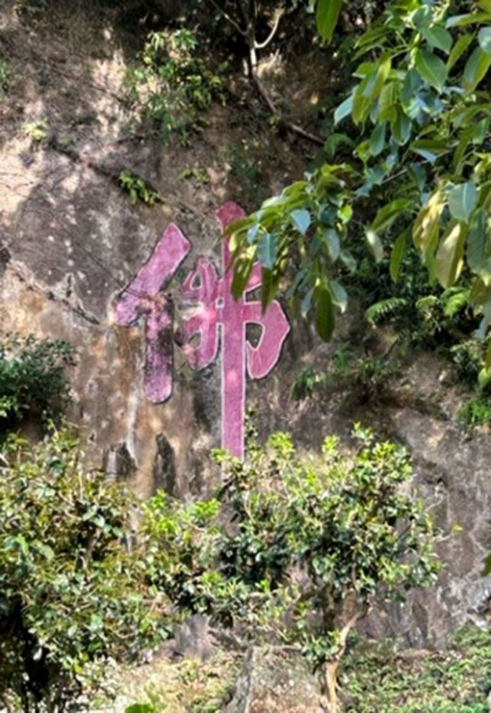 石雲禪寺初創期法師修行的草寮舊址。照片提供者：林美惠 / 拍攝日期：2023/04/16