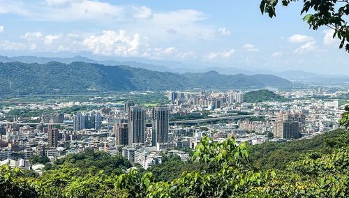 15望湖山百年大榕樹