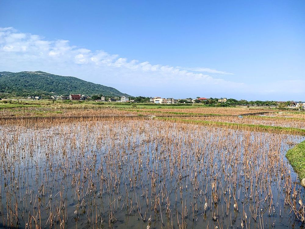 清水濕地