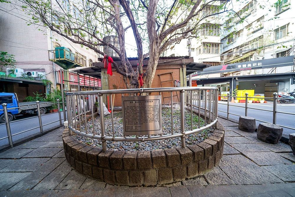 護衛鄉民的九芎樹(九芎公)