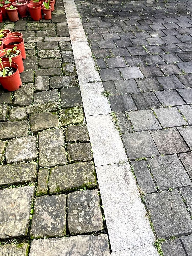 渡船頭的古棧道