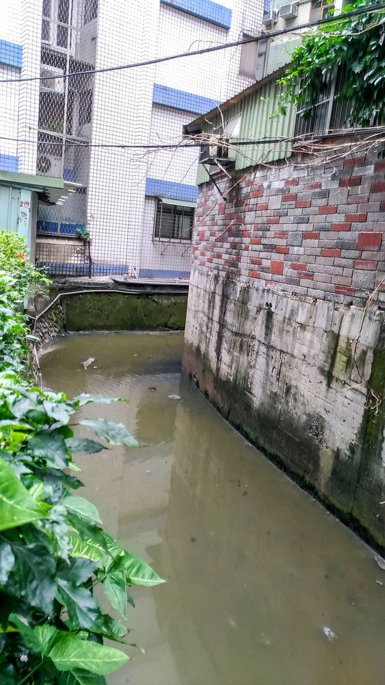 河段因水量不足及汙水排入水質狀況不佳