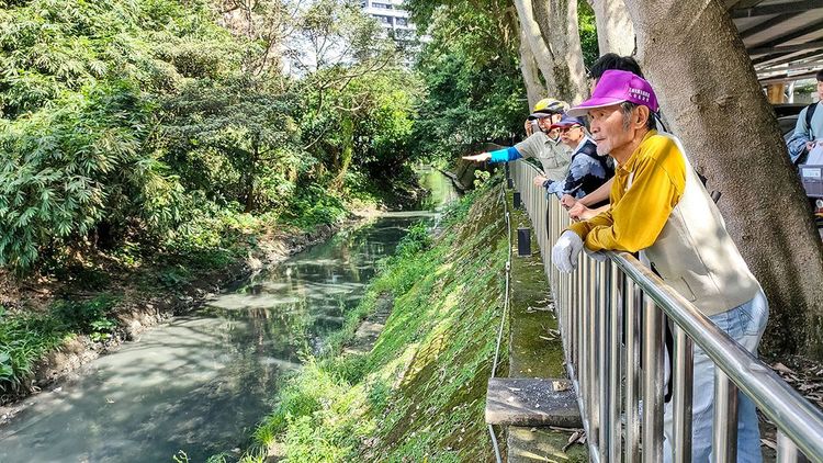 06瓦磘溝礫間淨化公園(中和路305巷)