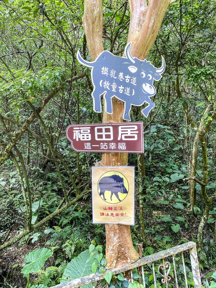 牧童古道與摸乳巷，隨著北47鄉道的打通，只留下這個有趣的地名供人遙想當年