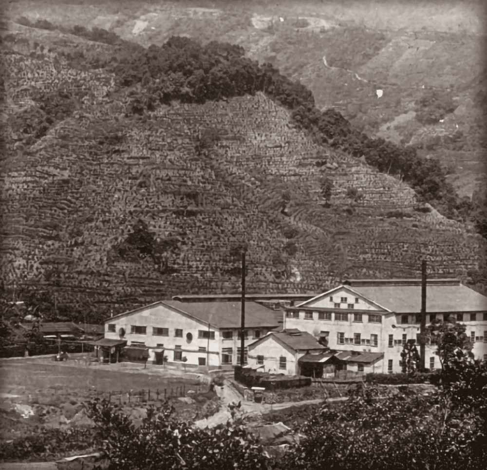 1920年代三井合名會社開發山林事業，經營三峽海山茶廠、大寮工廠、大豹工廠，規模設備均為東亞之冠。照片拍攝者：北大高中三峽學教師團隊