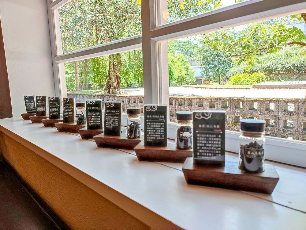 展示阿薩姆茶樹產製聞名遐邇的日東紅茶。照片拍攝者：北大高中三峽學教師團隊