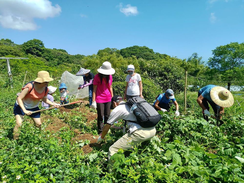 挖地瓜食農教育照片拍攝者：蕭學苑