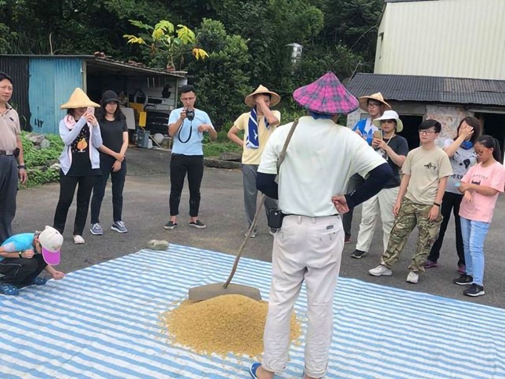 食農教育體驗曬穀照片提供者：蕭學苑