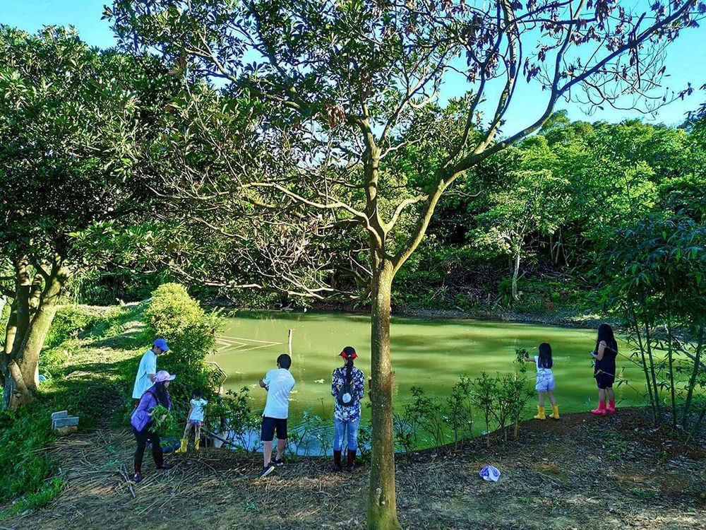 池塘抓魚示意圖照片拍攝者：蕭學苑