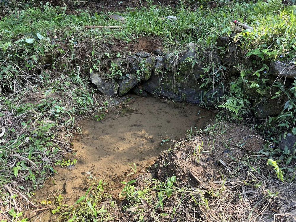 舀水灌溉現照照片拍攝者：蕭學苑
