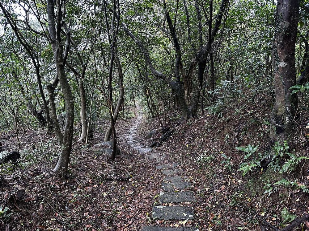 也是淡蘭北路山徑照片拍攝者：蕭學苑