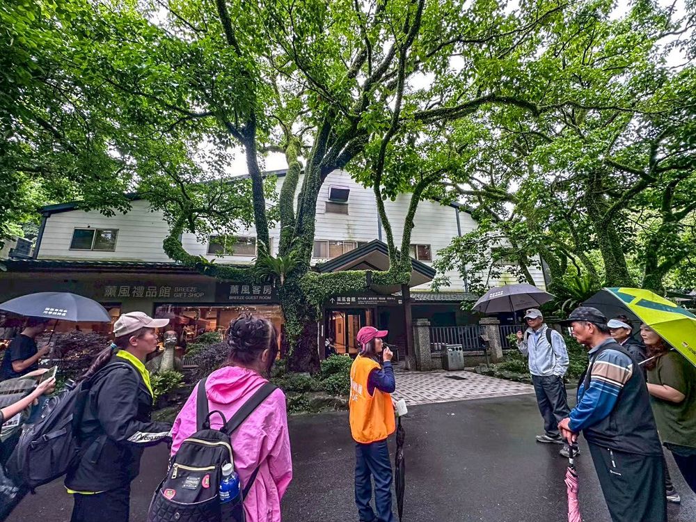 薰風大廳-大板根茶業歷史文物館  照片提供者：何春緣 / 拍攝日期：2025/04/25