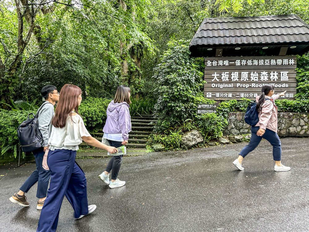 大板根原始森林區 照片提供者：何春緣 / 拍攝日期：2025/04/25