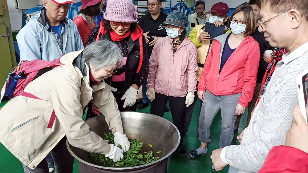 也讓民眾共同參與製茶的過程 照片提供者：朱肇維