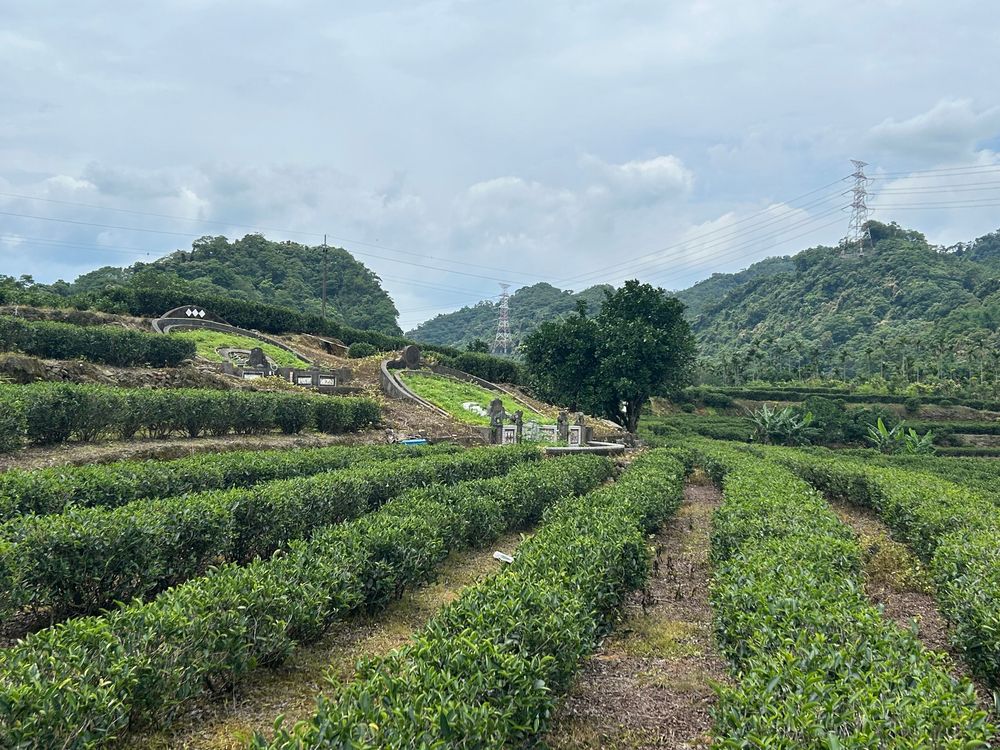 翁家父子古墓（照片拍攝者：王信喜／拍照日期：2025/5/20）