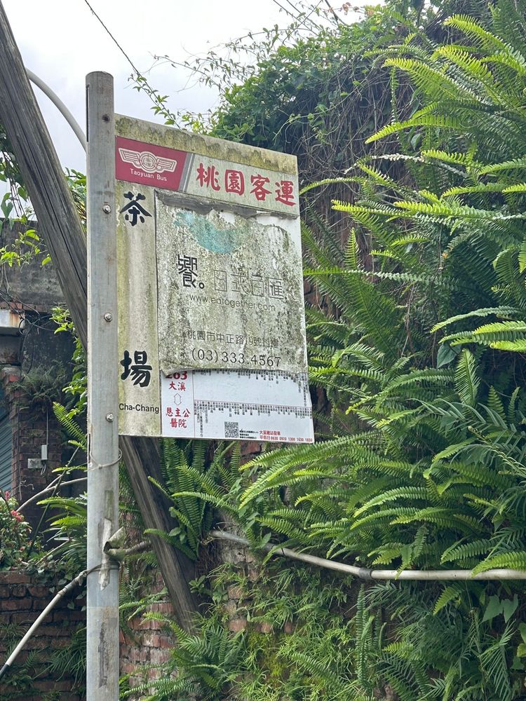 以茶場為名的公車站牌（照片拍攝者：王信喜／拍照日期：2025/5/30）