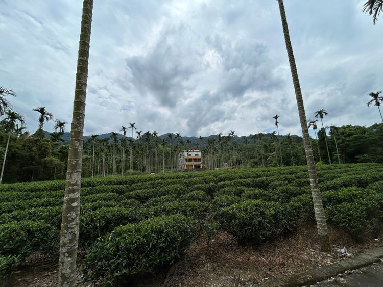09火燒翁家大厝坑