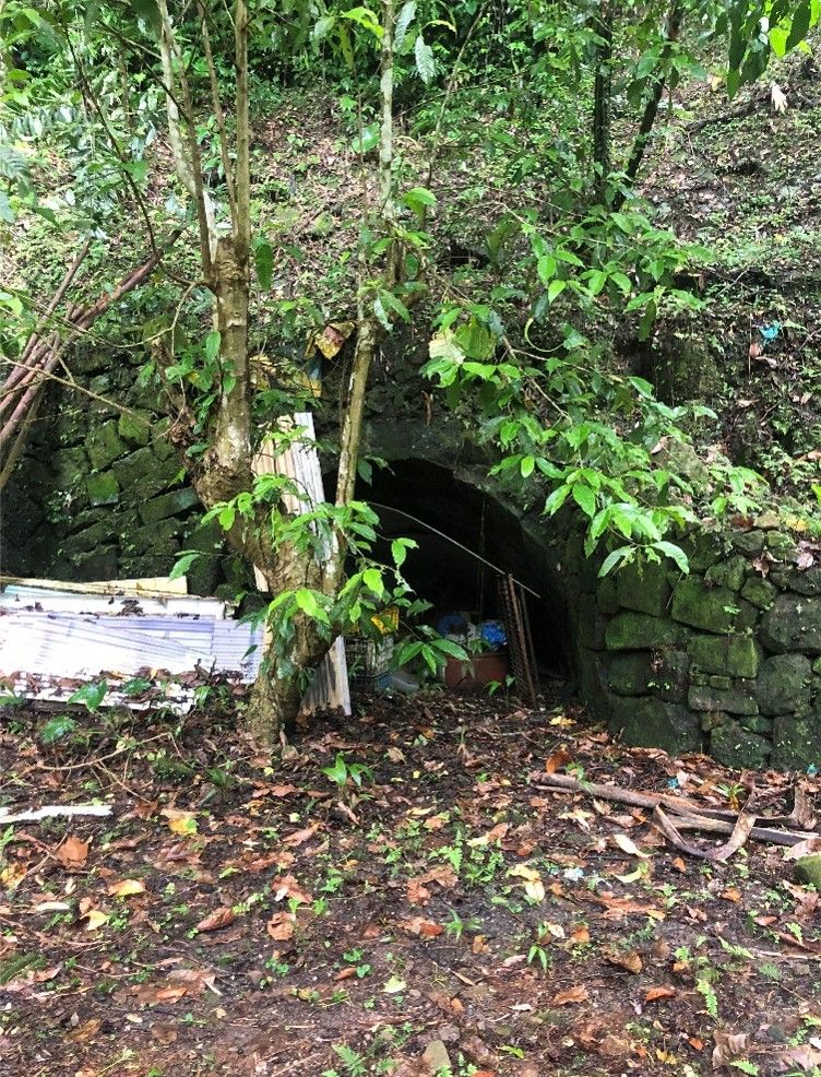 金瓜坑臺陽海山煤礦正坑遺址（照片拍攝者：黃蕭添）