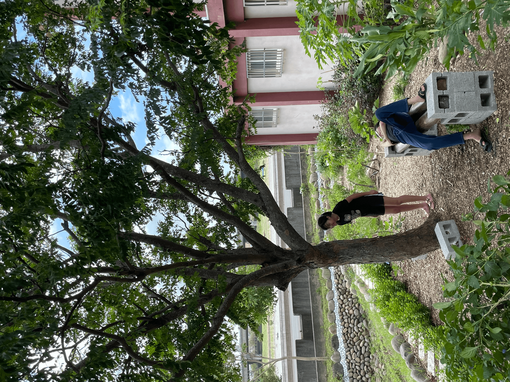 09 舊港島食物森林/提供者: 島港豐巢\n 09 The Food Forest of Jiu-Gang island/Provided by Dao Gang Feng Chao