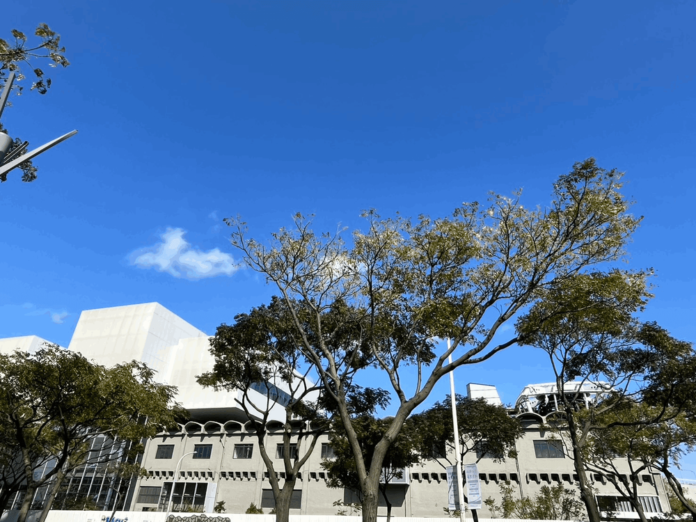 24台肥新竹廠改建現址/提供者：楊子樵
