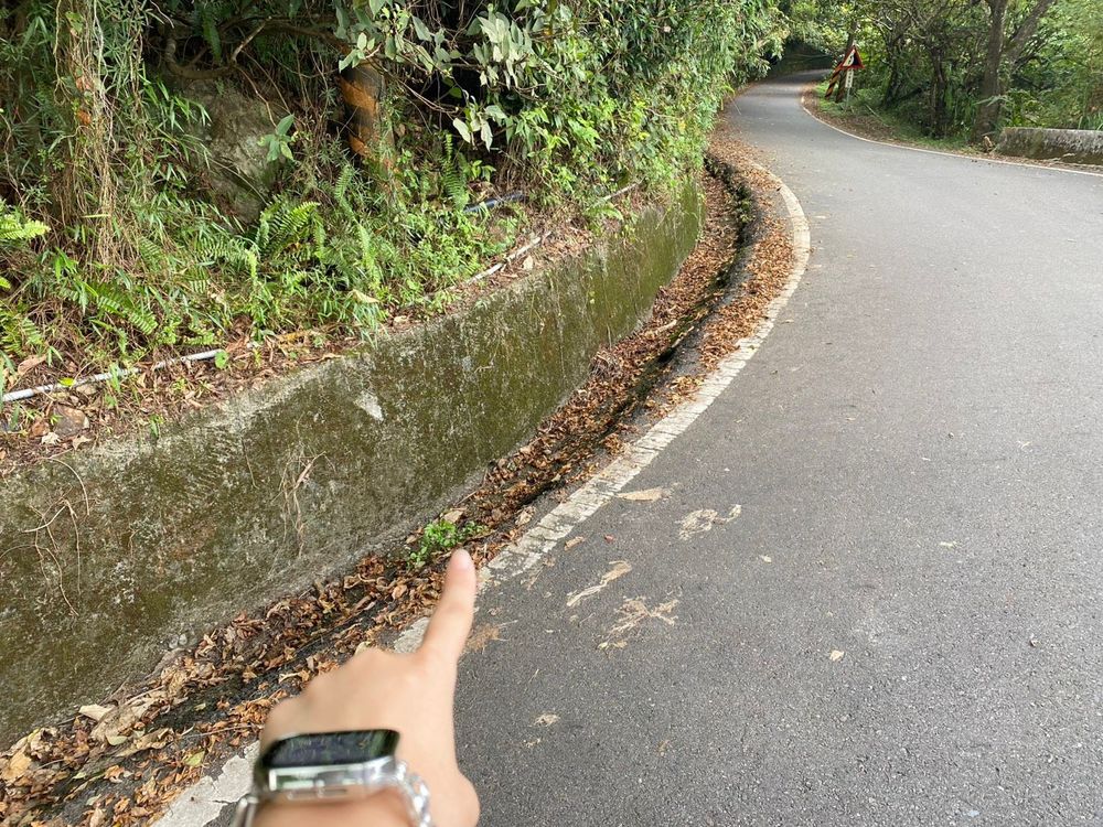 跑馬古道週邊(照片提供者：許家羚 / 拍攝日期：2025.10.31)